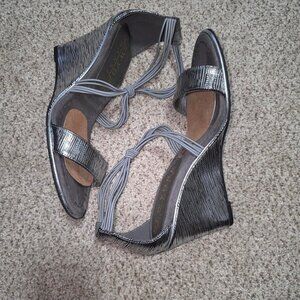 Silver wedges